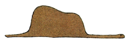 Elefant in Boa